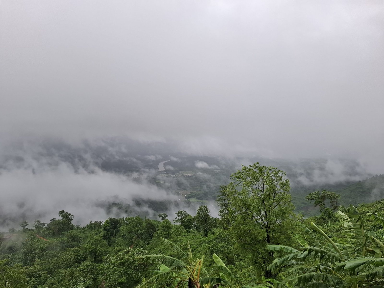 20250707_160005 scaled